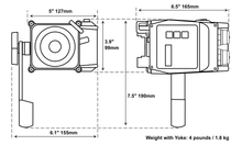 Nila 50 Double Kit - Daylight - Gold-Mount